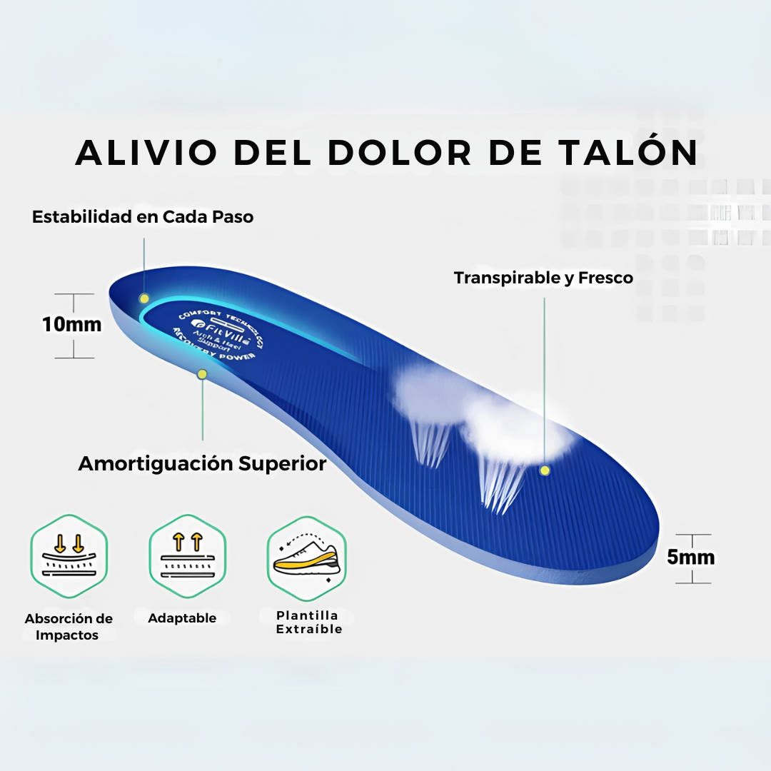 Zapatilla Ortopedica Assend │ EDICIÓN LIMITADA PREMIUM